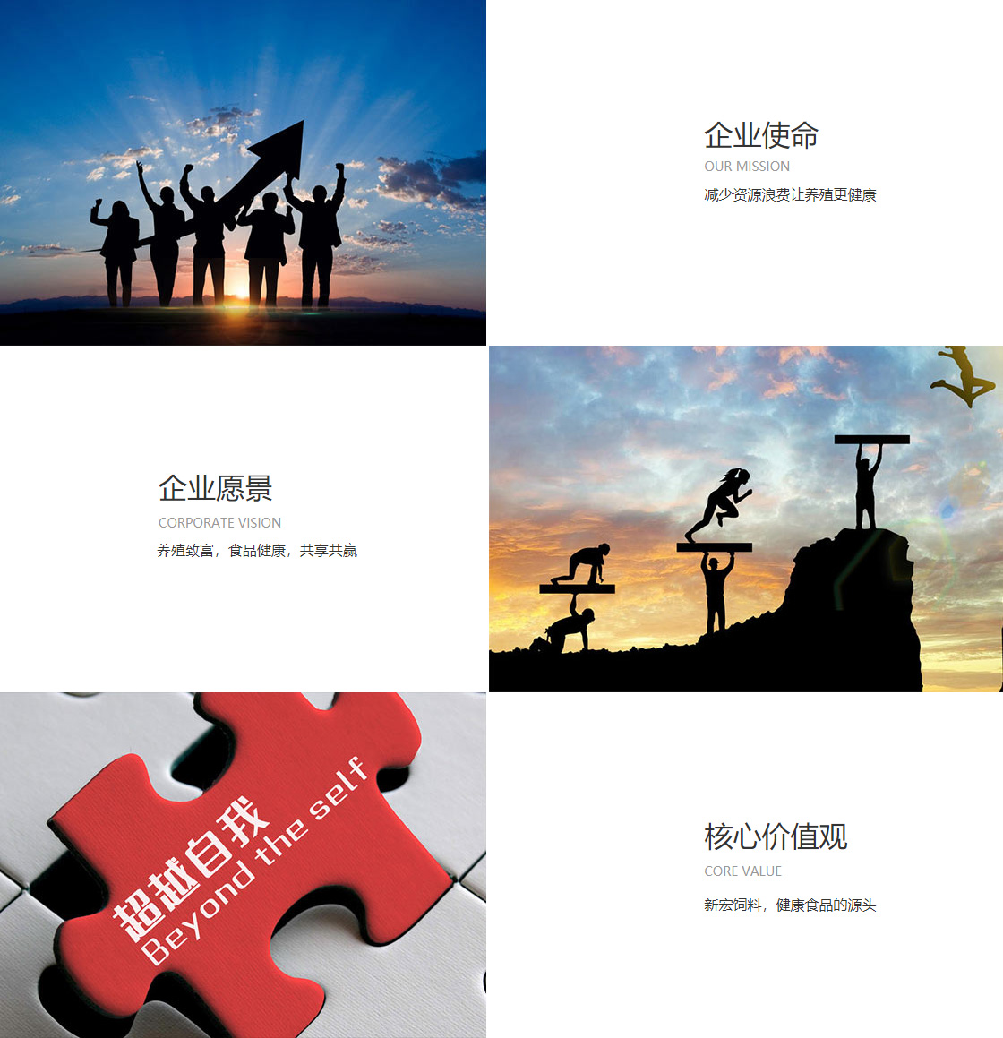 JIUYOU.com(图1)